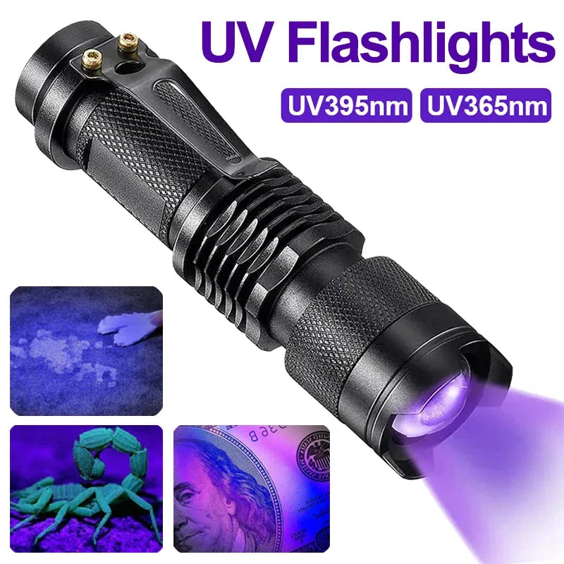 395nm UV flashlight handheld torch detects pet urine stains, Moktan Sabai black on Tampa Home & Garden Store