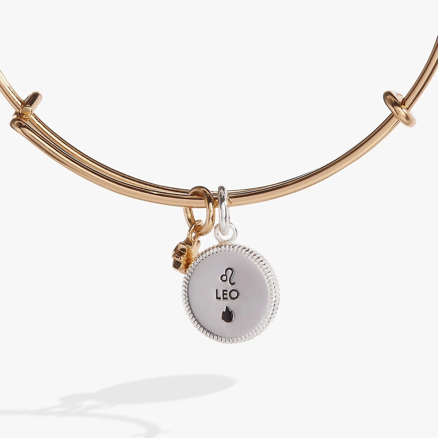 Alex and Ani Leo zodiac charm bangle in rose gold with round pendant charm on Tampa Home & Garden Store