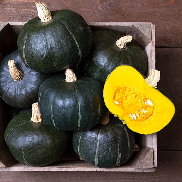 Burgess Buttercup Squash; a few dark green squash with orange flesh in crate Seedtime Store on Tampa Home & Garden Store