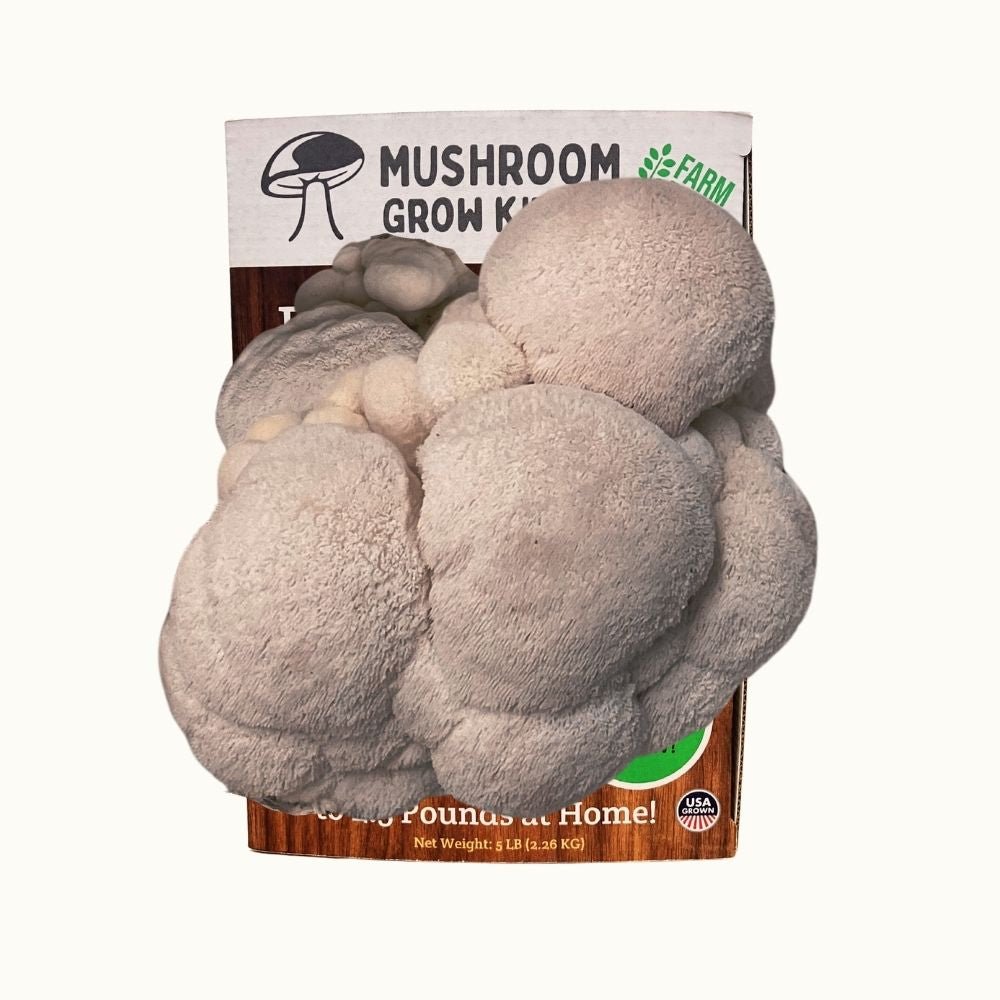 3 Pack - Premium Lion's Mane, Pink, and Blue Oyster Mushroom Growing Kit - 15 LBS