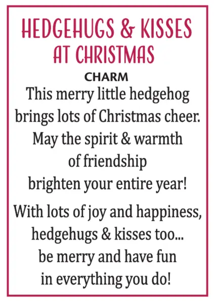 Holiday Hedgehog Charm with Christmas Present card tag pink border and black text on Tampa Home & Garden Store