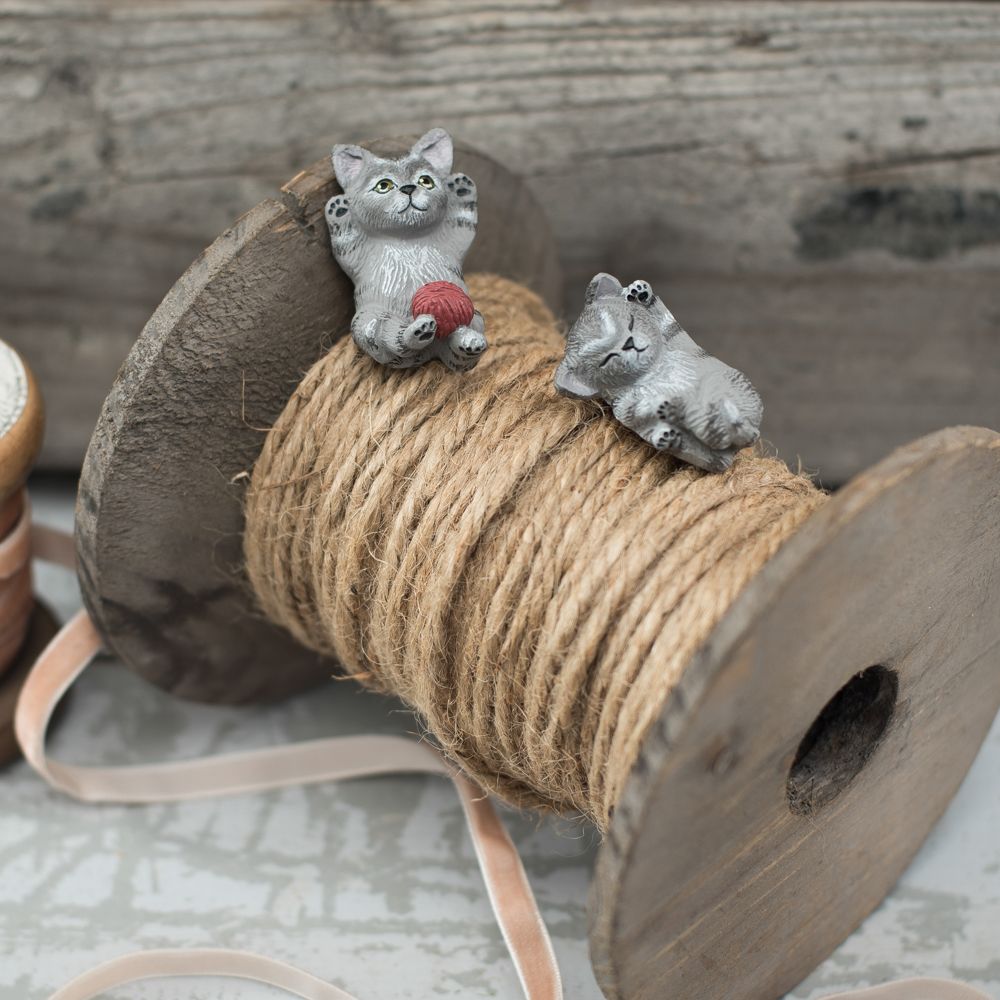 Klarborg Gatitos Miv Y Nulle