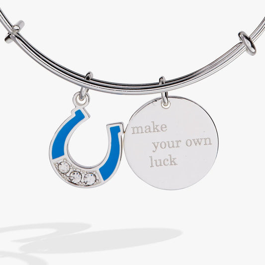 Make Your Own Luck Duo Charm Bangle by ALEX AND ANI with blue enamel horseshoe charm on Tampa Home & Garden Store