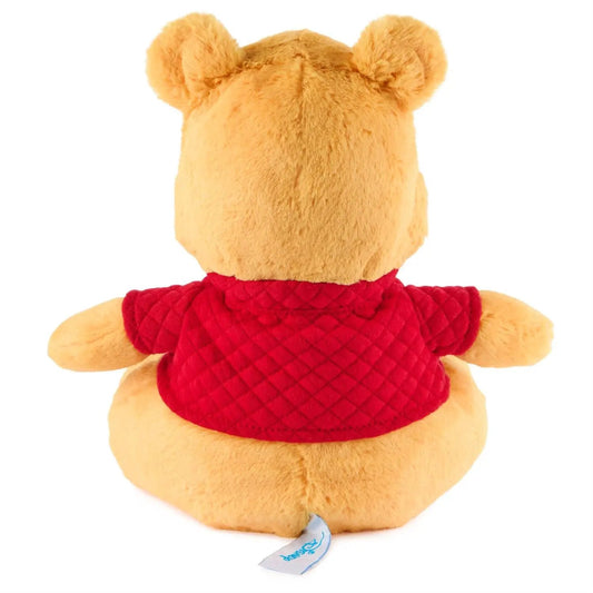 Oh So Snuggly Winnie The Pooh - Tampa Home & Garden Store
