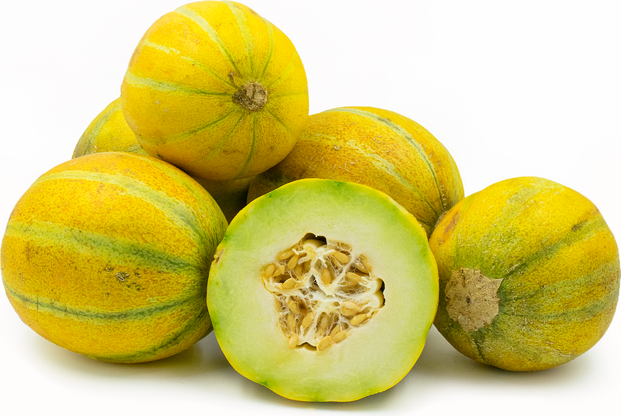 Ha'Ogen Melon fruits with yellow rind; halved showing pale green flesh and seeds on Tampa Home & Garden Store
