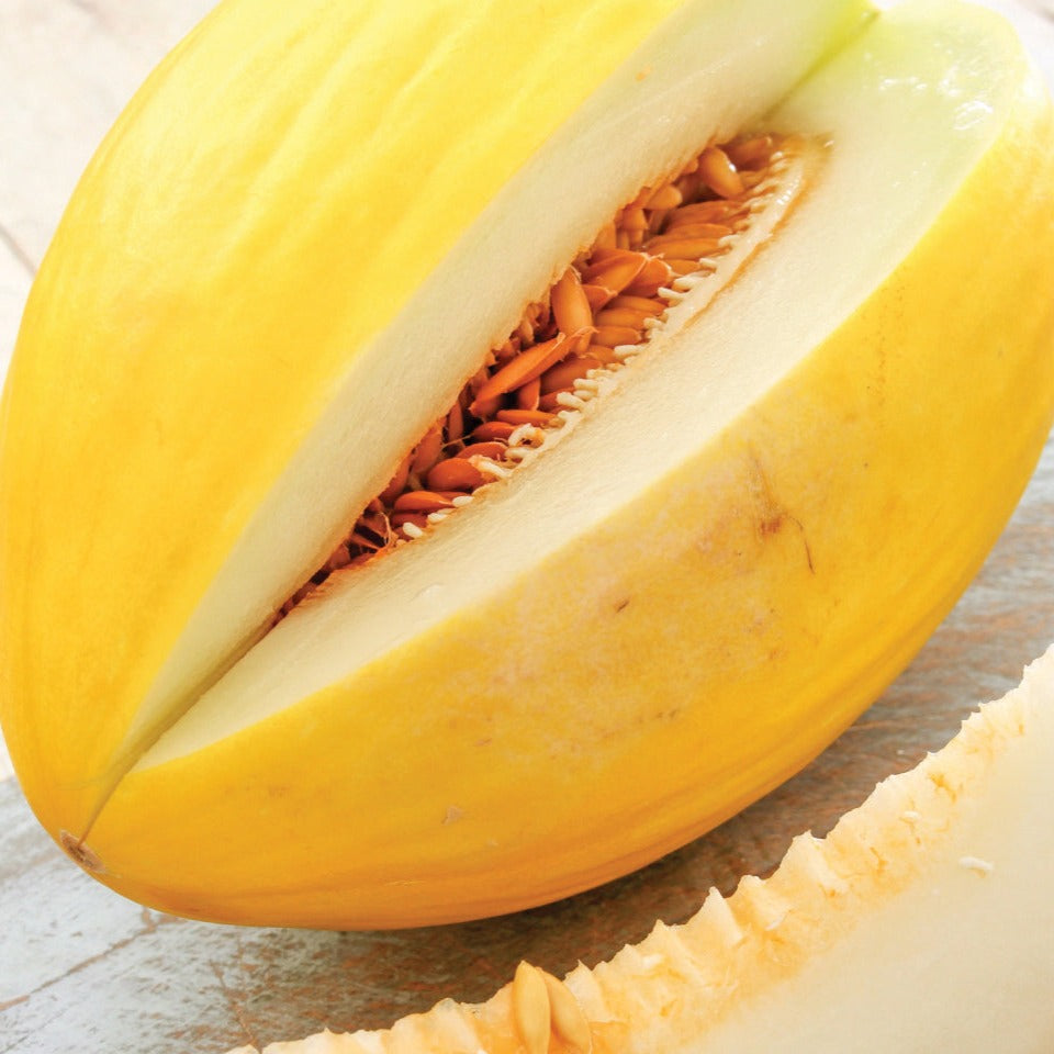 Crenshaw melon half with yellow rind and exposed seeds on Tampa Home & Garden Store