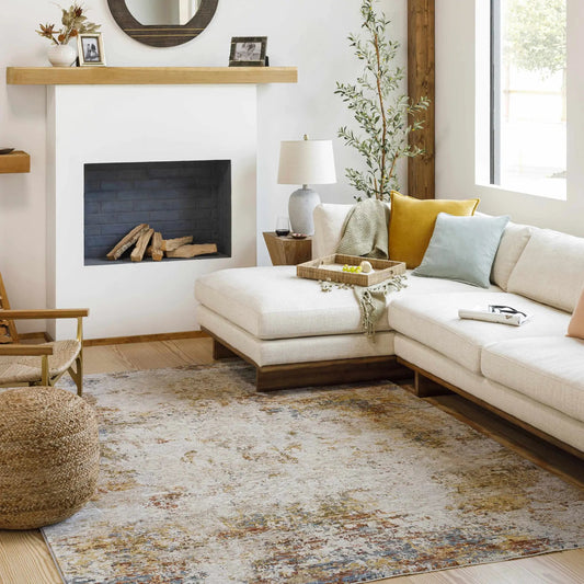 Middelburg Rock Pattern Luxe Area Rug by Boutique Rugs in beige blue distressed multicolor tones on Tampa Home & Garden Store