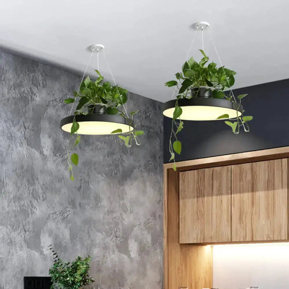 Mint green Brooklyn round macaron pendant light with kitchen planter, set of 2, Decorbites on Tampa Home & Garden Store