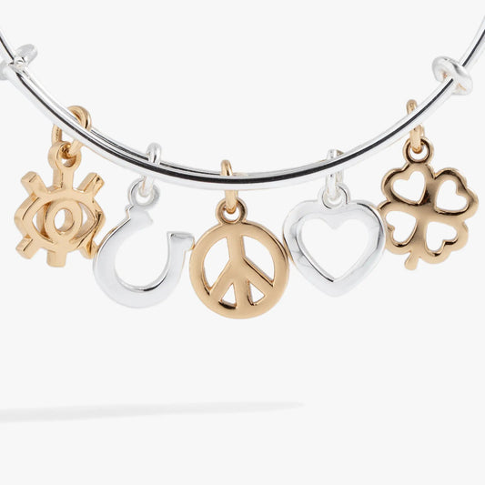 Mixed Symbol Multi-Charm Bangle by ALEX AND ANI in silver and gold-tone with heart-cutout charms on Tampa Home & Garden Store