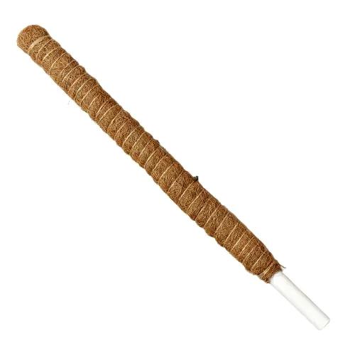 Moss Pole for Monsteras 22in brown wrapped sphagnum moss plant support House Plant Shop on Tampa Home & Garden Store