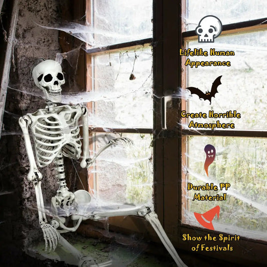 Life-size Halloween skeleton hanging, full-body display in white bones by window DirectDeals on Tampa Home & Garden Store