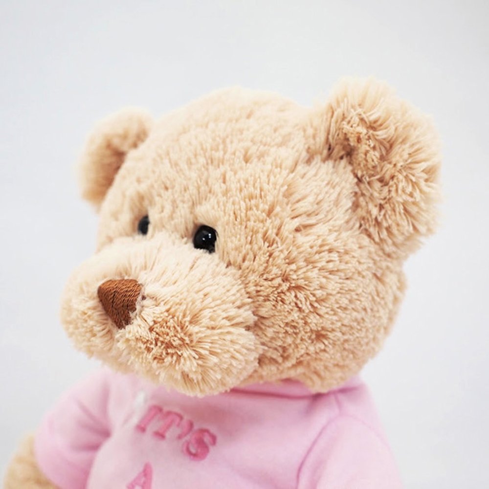 It's a Girl Teddy Bear in Pink Shirt, 12-inch plush animal by The Country Christmas Loft on Tampa Home & Garden Store