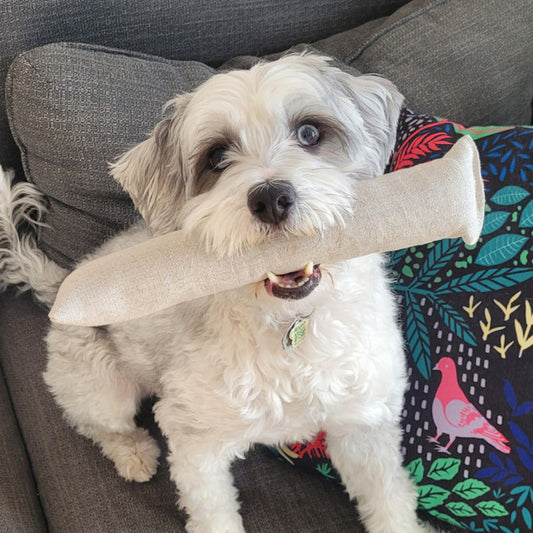 Paquete de juguetes naturales para perros para abrazar, buscar y tirar - Opciones para perros pequeños a grandes