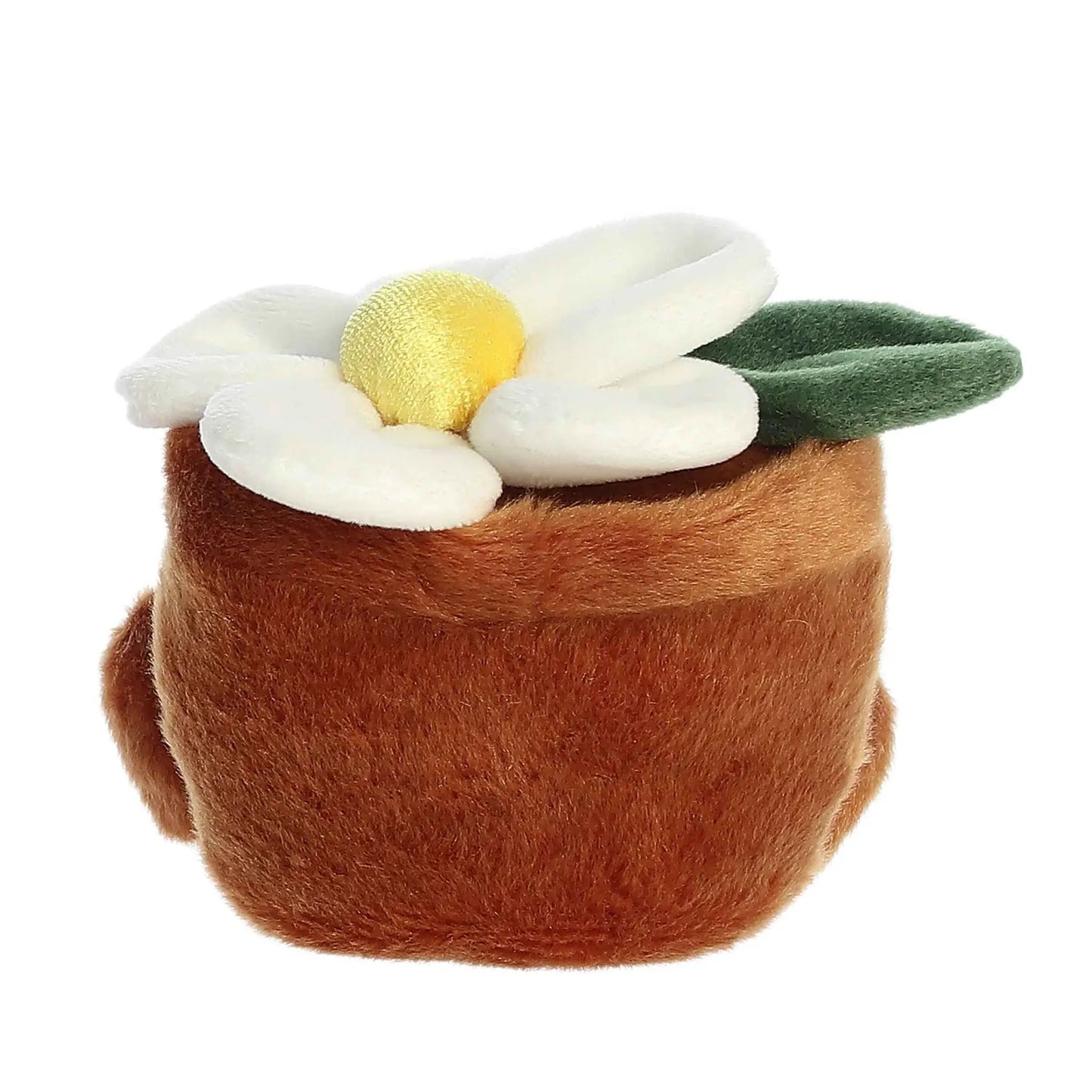 Junie Daisy Palm Pal Plush flower with white petals and yellow center brown palm base on Tampa Home & Garden Store