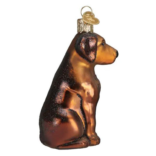 Chocolate Labrador glass ornament brown glittered dog with gold cap and hanging heart tag on Tampa Home & Garden Store