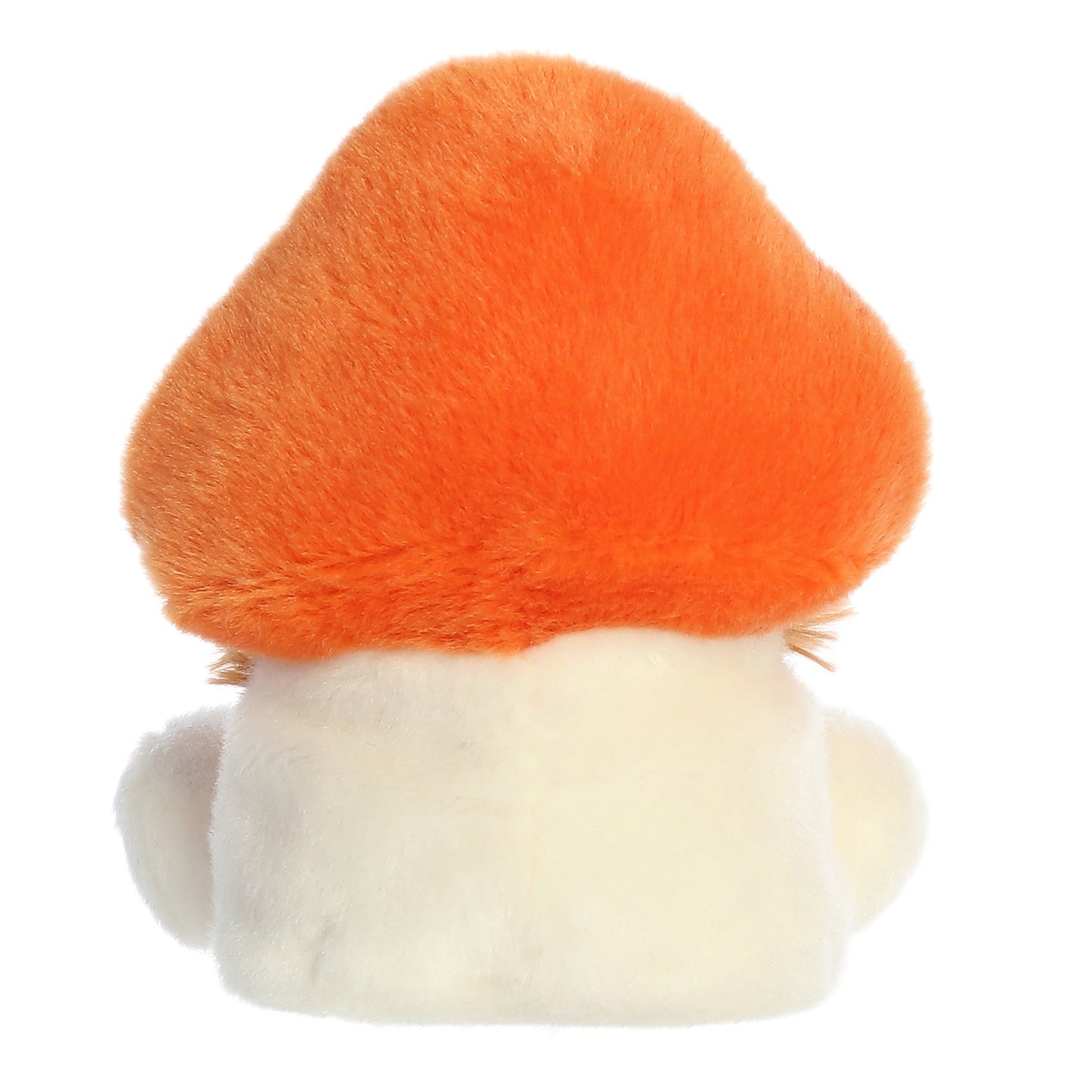 Ami du palmier champignon duveteux Fabian