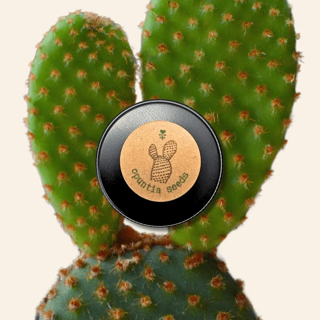 Opuntia Mix Prickly Pear Seeds for Indoor Cactus by Plantflix, succulent seeds in round tin on Tampa Home & Garden Store