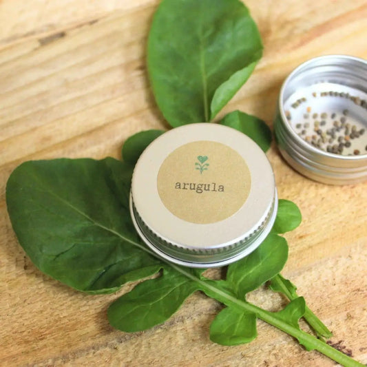 Organic arugula seeds tin by Plantflix, vegetable seeds for fresh salads on Tampa Home & Garden Store
