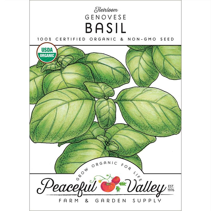 Genovese Basil seeds packet with illustrated green basil leaves Seedtime Store on Tampa Home & Garden Store