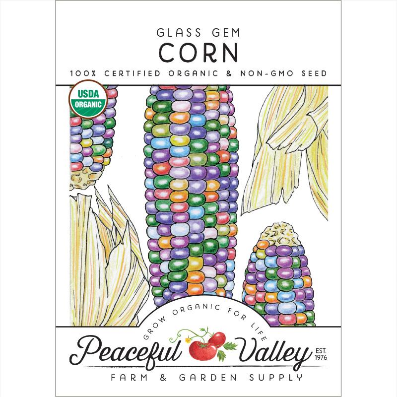 Glass Gem Corn seeds packet by Peaceful Valley with colorful multicolor corn ears illustration on Tampa Home & Garden Store