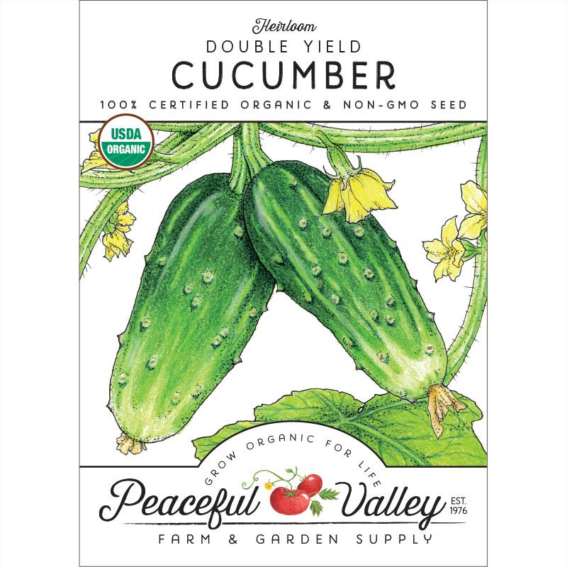 Double Yield Cucumber seeds, heirloom organic variety with dark green, bumpy fruit on Tampa Home & Garden Store
