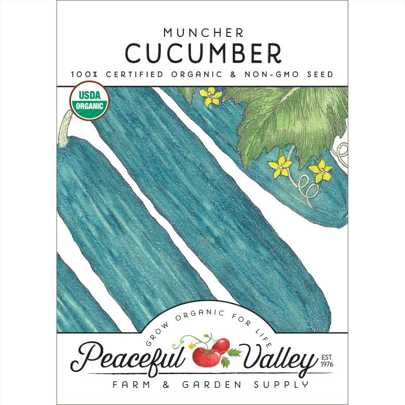 Muncher cucumber seeds packet with blue-green cucumbers and USDA Organic Peaceful Valley on Tampa Home & Garden Store
