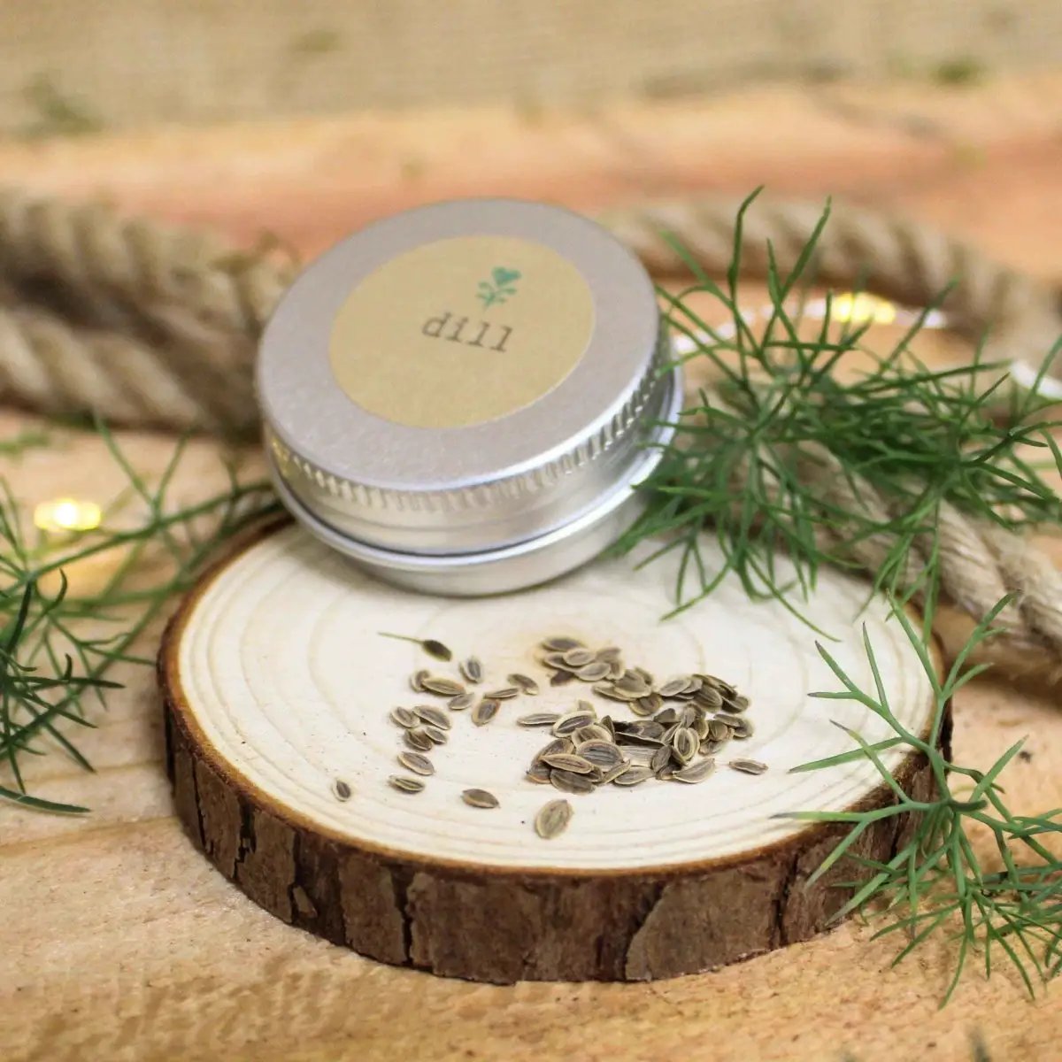Organic dill seeds in a small metal tin with dill fronds on a wooden slice on Tampa Home & Garden Store