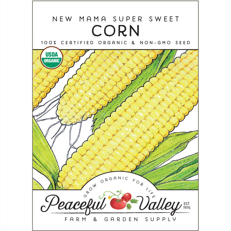 Sweet New Mama Corn seeds by Seedtime Store, 100% certified organic non-GMO on Tampa Home & Garden Store