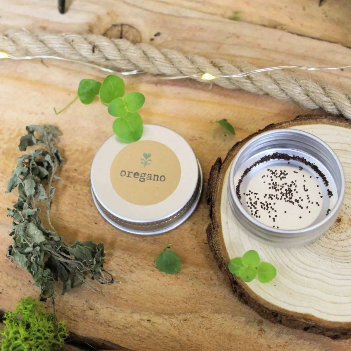 Organic oregano seeds tin Plantflix; tins with label and seeds near a seedling on wood surface on Tampa Home & Garden Store
