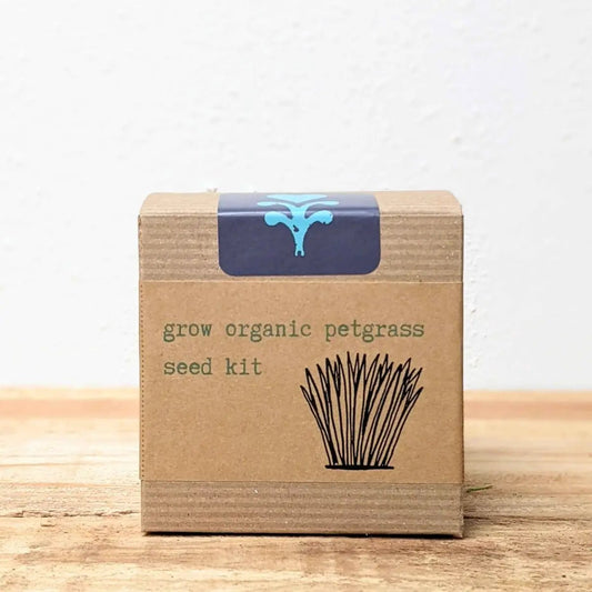 Organic Petgrass Grow Kit seed box by Plantflix in a cardboard package with a blue label on Tampa Home & Garden Store