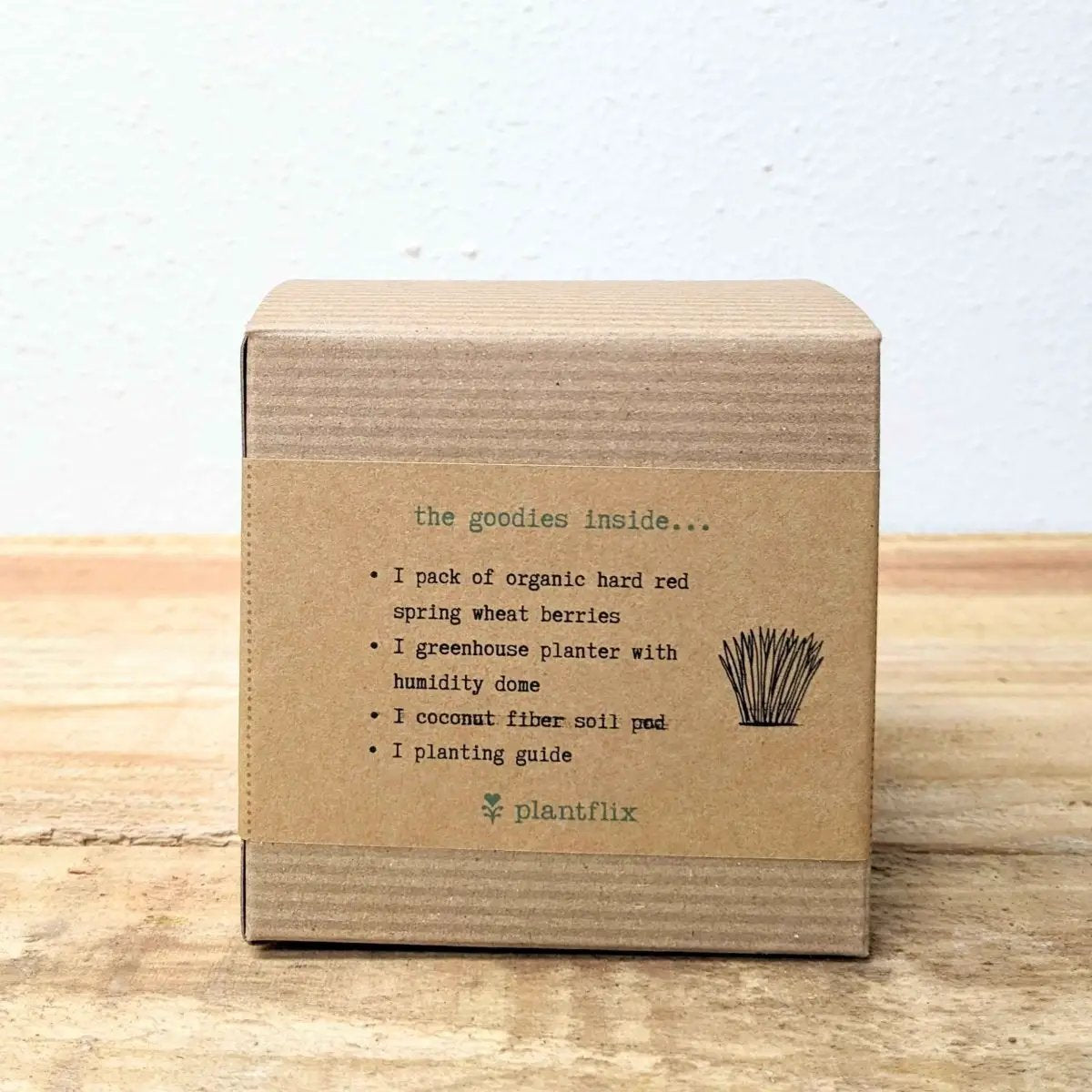 Organic Petgrass Grow Kit box with Plantflix label contains wheat berries and fiber soil pod on Tampa Home & Garden Store