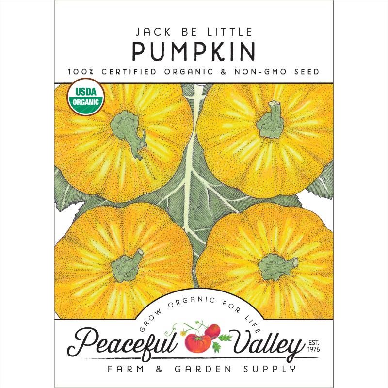 Jack Be Little pumpkin seeds by Peaceful Valley with yellow pumpkin art and organic label on Tampa Home & Garden Store