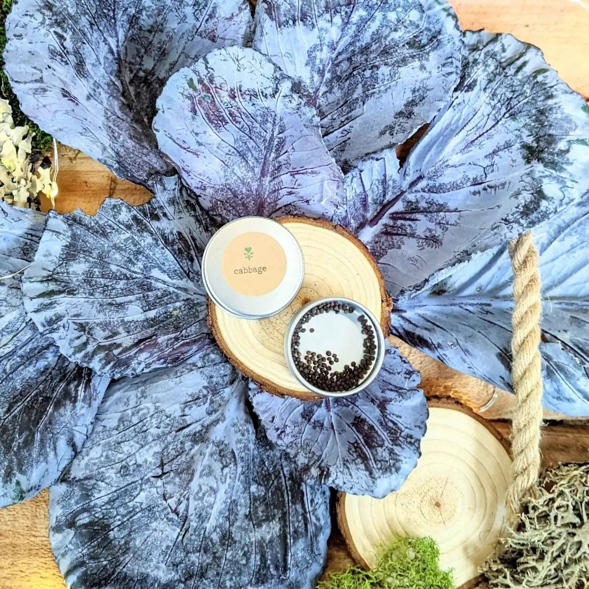 Organic red cabbage seeds Plantflix in 2 metal tins on a wood slice with cabbage leaves on Tampa Home & Garden Store