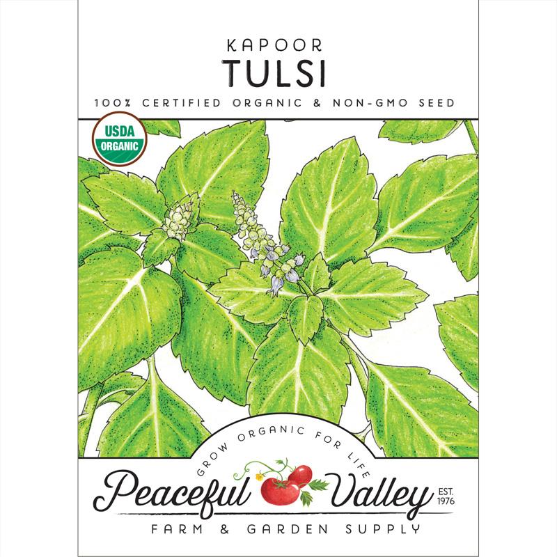 Kapoor Tulsi basil seeds packet with green leaves and flowers; organic & non-GMO; Seedtime Store on Tampa Home & Garden Store