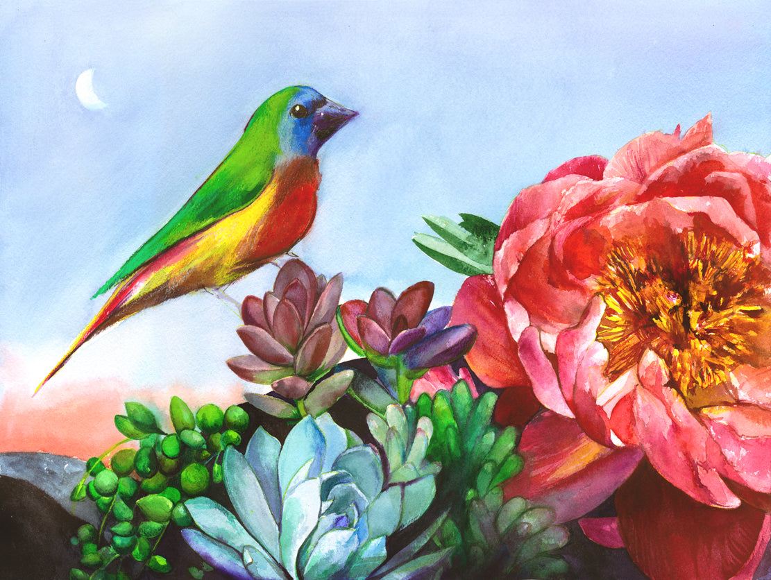 Pinzón Loro en Jardín del Desierto – Lámina de Arte Premium