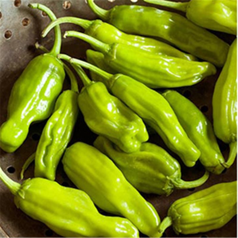 Pepperoncini peppers, bright green elongated chiles on Tampa Home & Garden Store
