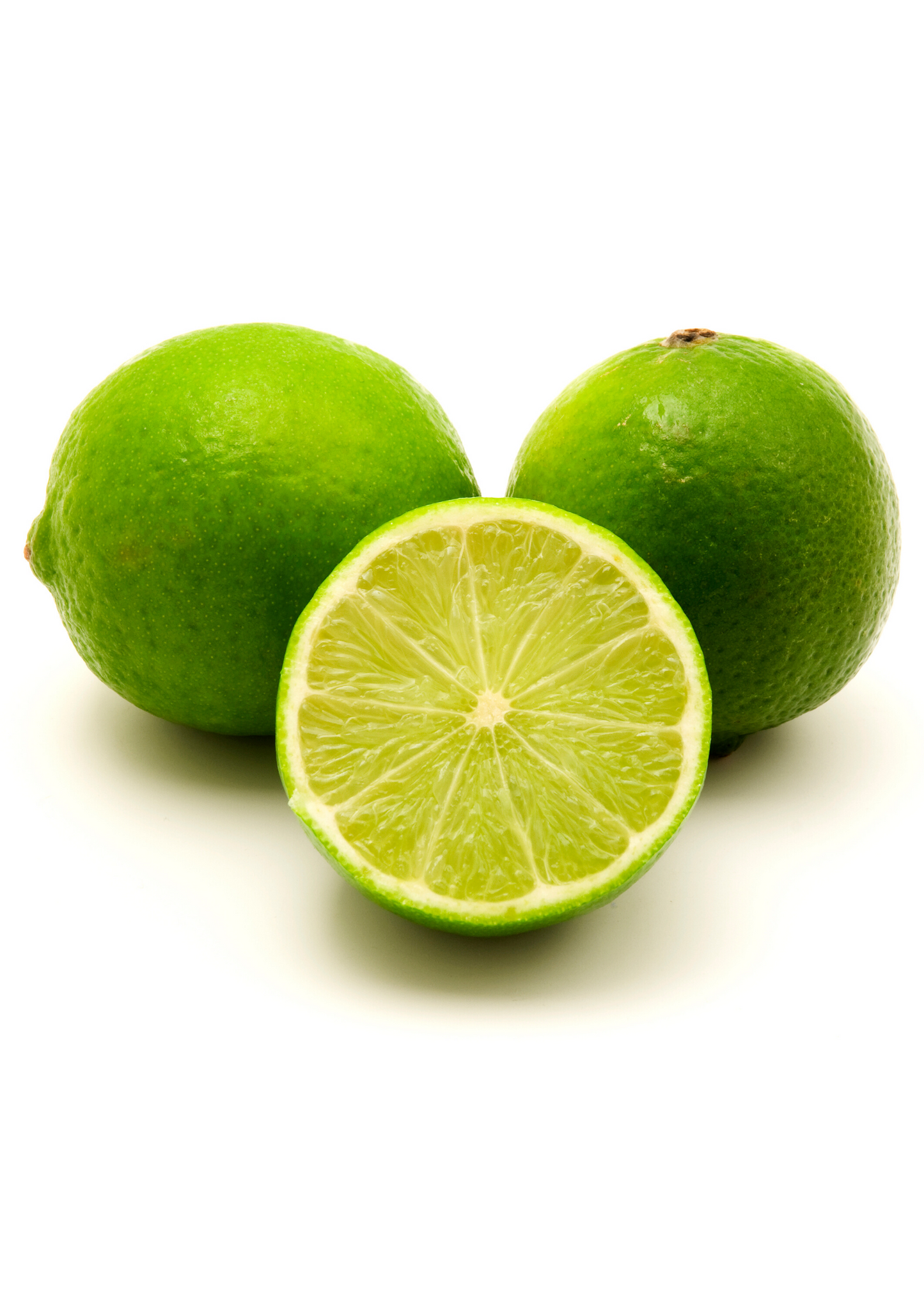 Persian Lime Tree (Citrus × latifolia)