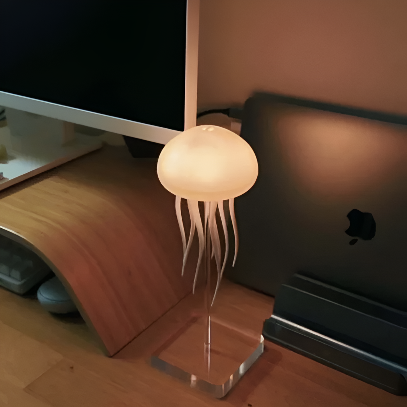 LED jellyfish lamp color-changing mood light with warm glow, translucent dome and tentacles on desk on Tampa Home & Garden Store