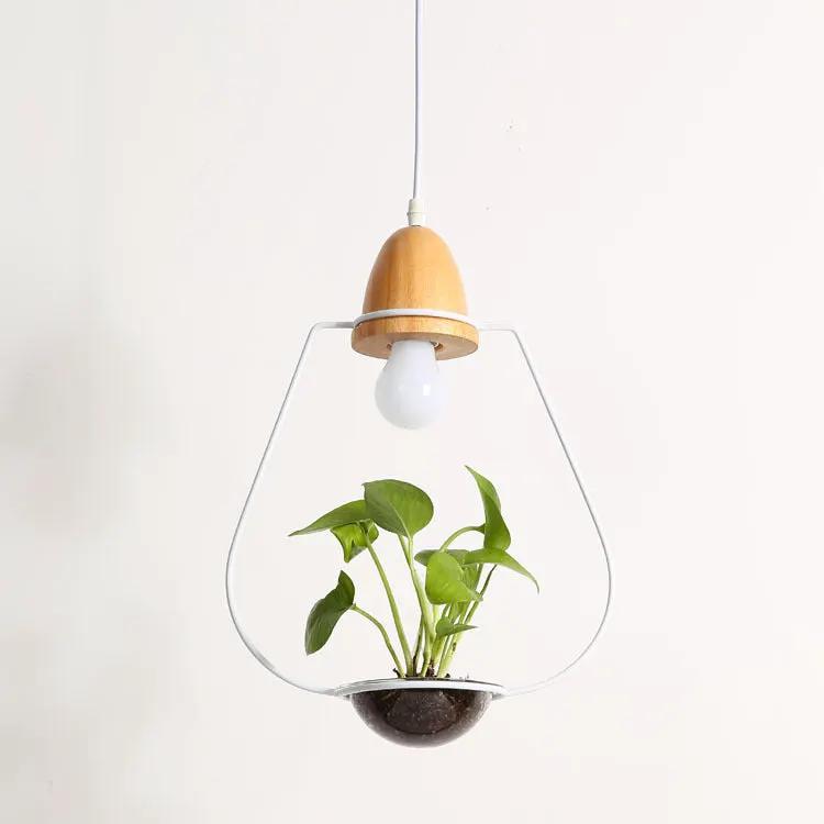 Glass plant chandelier by Decorbites with a clear teardrop shade, wood top, LED light, plant inside on Tampa Home & Garden Store