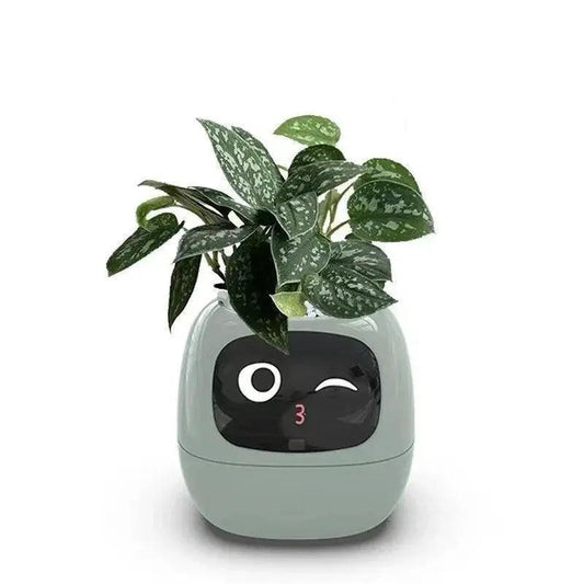 Plantly smart flowerpot with winking face panel and variegated plant in gray-green pot on Tampa Home & Garden Store