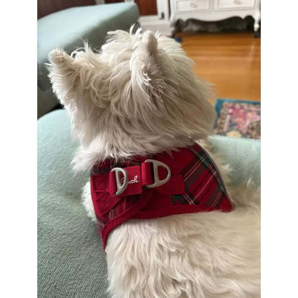 Plush Step In Harness Plaid Red - Tampa Home & Garden Store
