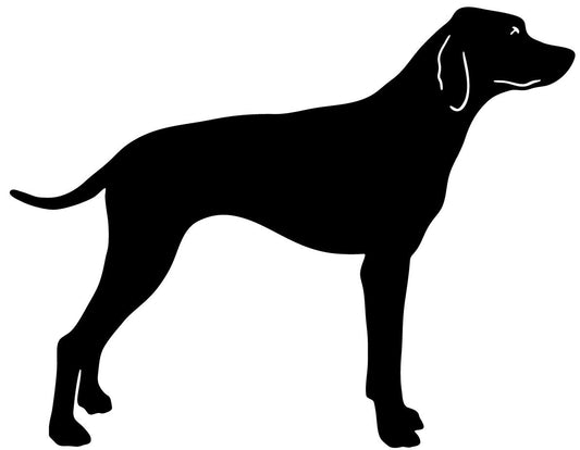 Pointer garden stake silhouette, black dog figure for lawn ornament by Rustica Ornamentals on Tampa Home & Garden Store