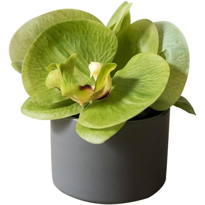 RusticReach artificial orchid plant in gray pot with lush green leaves on Tampa Home & Garden Store