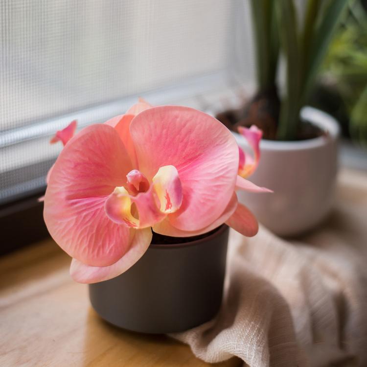 Artificial Flower Mini Real Touch Orchid in Peach Pink by RusticReach in a dark gray pot on Tampa Home & Garden Store
