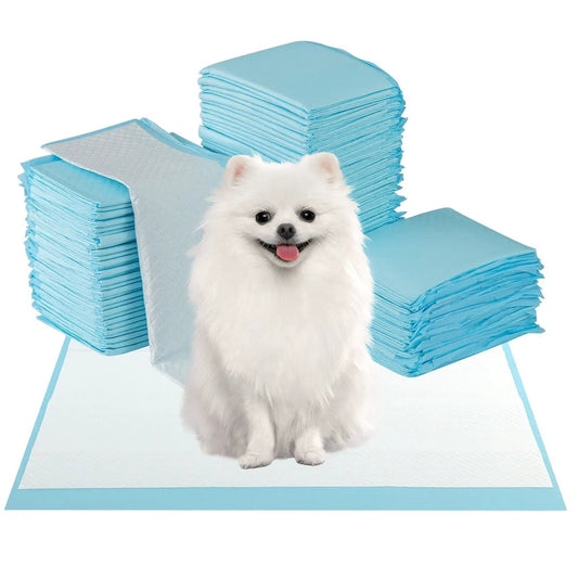 Dog and Puppy Pee Pads 24x17 blue for potty training, stacked with a white fluffy dog on Tampa Home & Garden Store