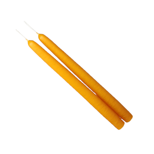 Mole Hollow Taper Pair Yellow Gold 8 Inch Candles on Tampa Home & Garden Store