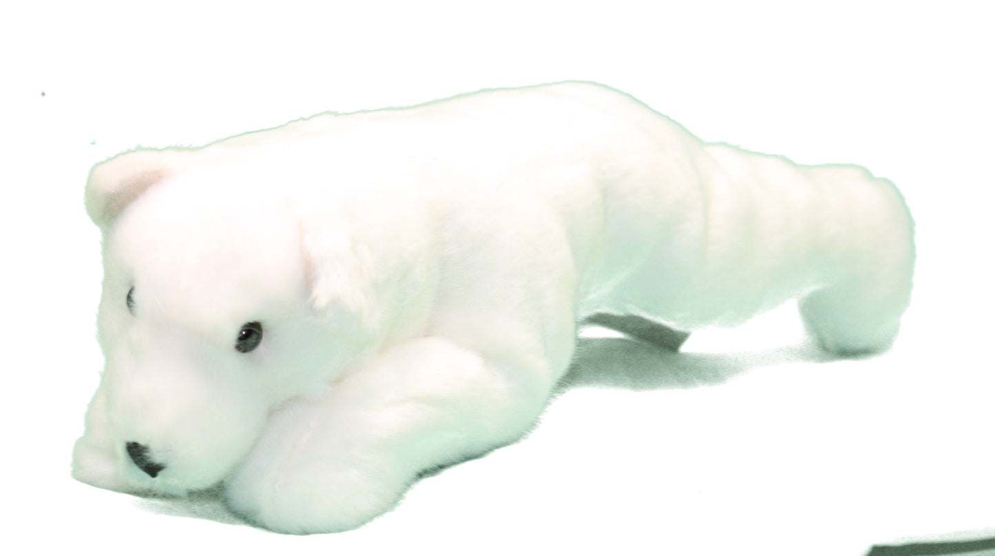 Abrazos de oso polar - Blanco