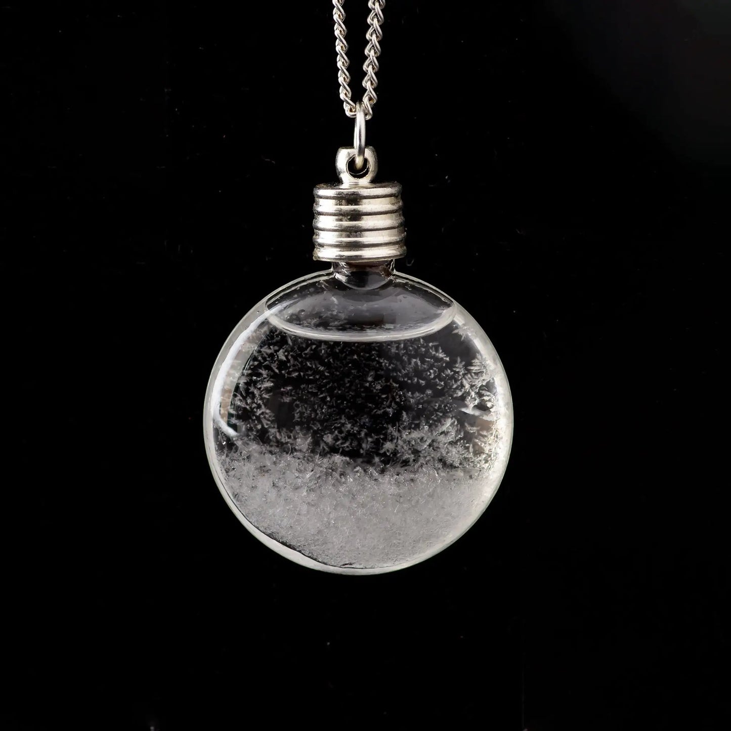 - image on Tampa Home & Garden Store
