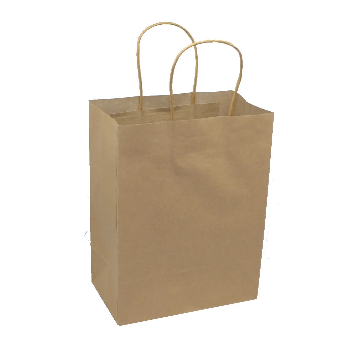 Medium kraft gift bag brown with twisted paper handles on Tampa Home & Garden Store
