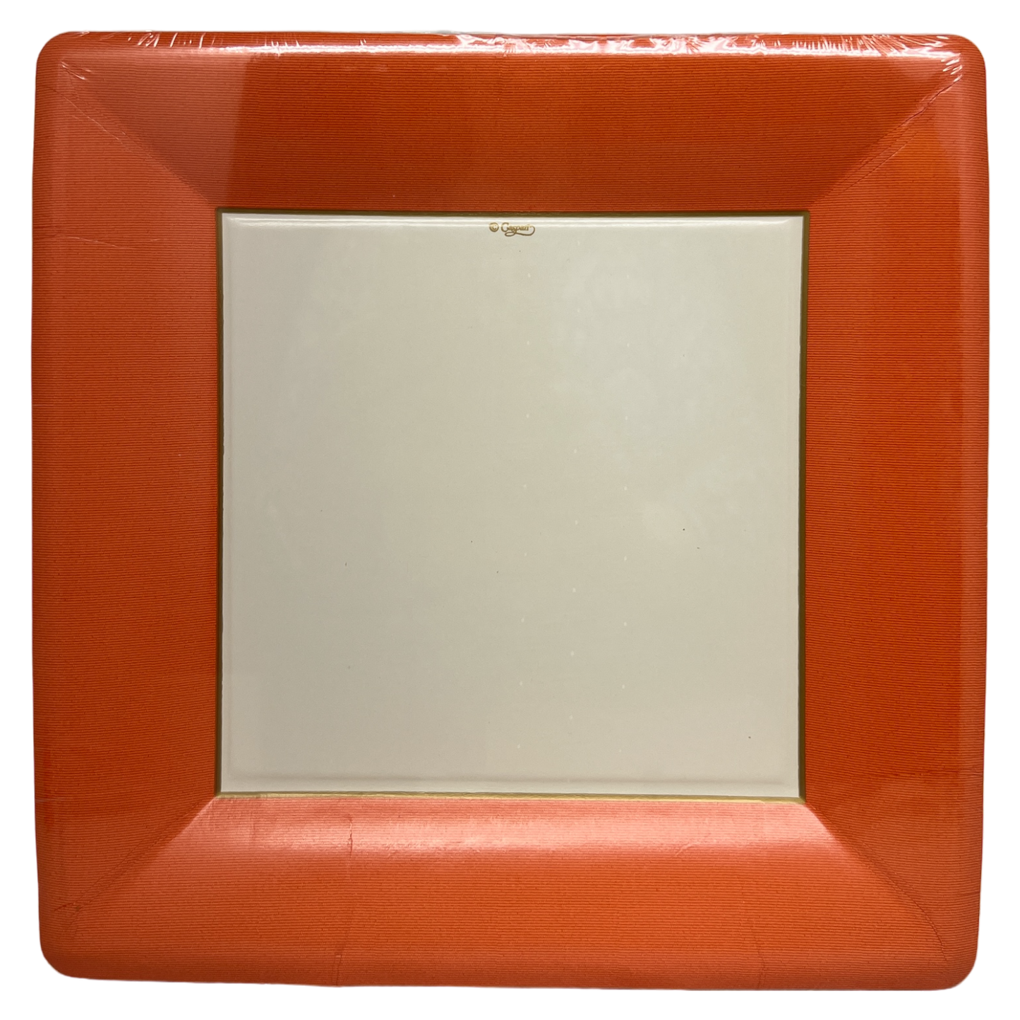 Grosgrain Deep Orange Square Dinner Plate disposable plate in red frame by The Country Christmas Loft on Tampa Home & Garden Store